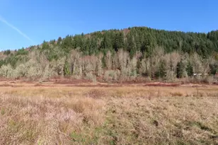 Larson Rd, Mossyrock, WA 98564 - Photo 1