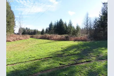 Larson Rd, Mossyrock, WA 98564 - Photo 14