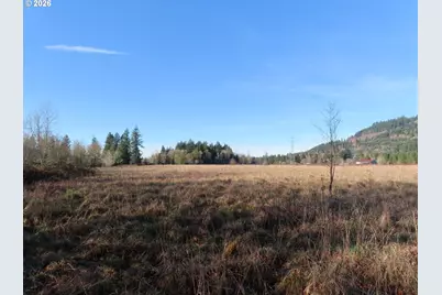 Larson Rd, Mossyrock, WA 98564 - Photo 2