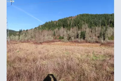 Larson Rd, Mossyrock, WA 98564 - Photo 24