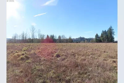 Larson Rd, Mossyrock, WA 98564 - Photo 22