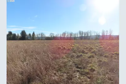 Larson Rd, Mossyrock, WA 98564 - Photo 20