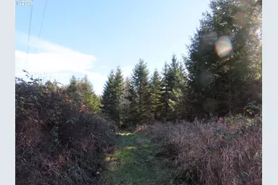 Larson Rd, Mossyrock, WA 98564 - Photo 6