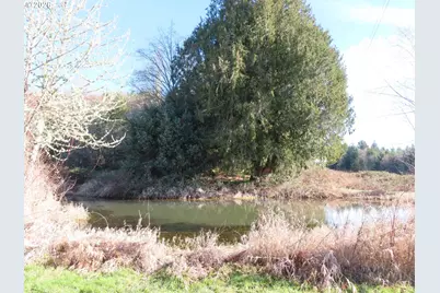 Larson Rd, Mossyrock, WA 98564 - Photo 4