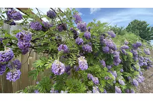 435 SE Belgian St, Sublimity, OR 97385 - Photo 40