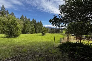 48799 McFarland Rd, Oakridge, OR 97463 - Photo 20