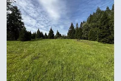 48799 McFarland Rd, Oakridge, OR 97463 - Photo 48