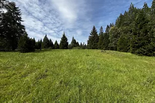 48799 McFarland Rd, Oakridge, OR 97463 - Photo 48