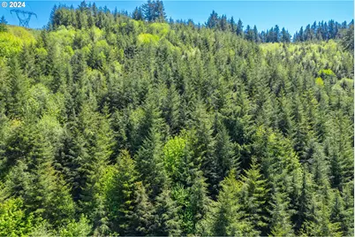 0 Harlan Rd, Toledo, OR 97391 - Photo 14