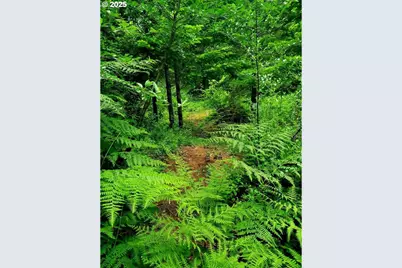 49220 Mountain View Rd, Oakridge, OR 97463 - Photo 12