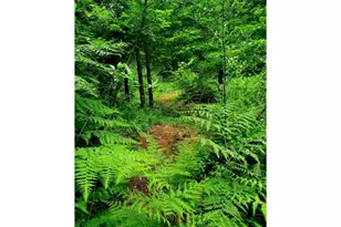 49220 Mountain View Rd, Oakridge, OR 97463 - Photo 12