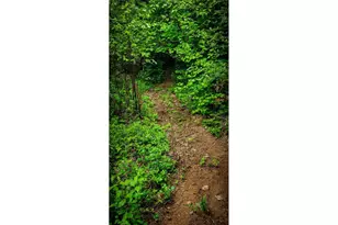 49220 Mountain View Rd, Oakridge, OR 97463 - Photo 16