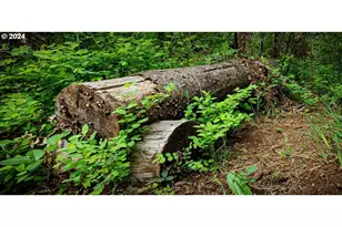 49220 Mountain View Rd, Oakridge, OR 97463 - Photo 8