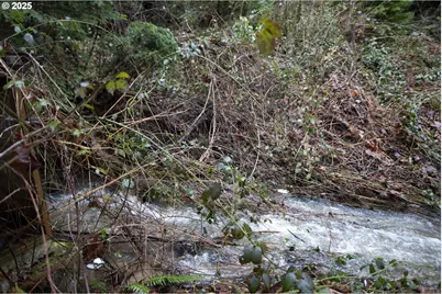 6228 Upper Cow Creek Rd, Azalea, OR 97410 - Photo 44