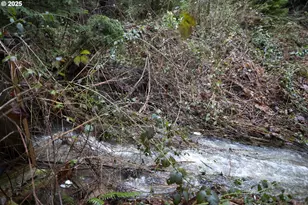 6228 Upper Cow Creek Rd, Azalea, OR 97410 - Photo 44