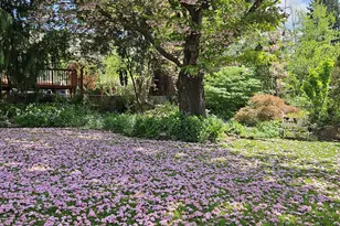 10910 SW 74th Ave, Portland, OR 97210 - Photo 24