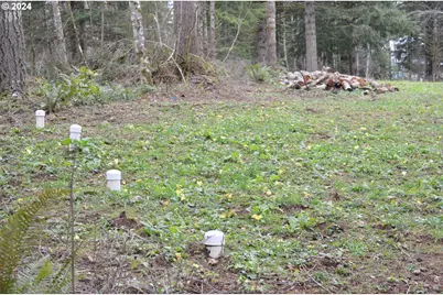 Ne 24th St, Washougal, WA 98671 - Photo 8