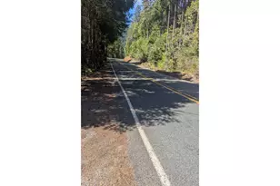 2999 Speaker Rd, Wolf Creek, OR 97497 - Photo 18