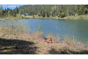 2999 Speaker Rd, Wolf Creek, OR 97497 - Photo 14
