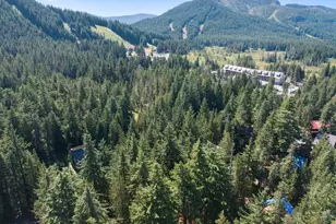 88940 E Round Mountain Loop, Government Camp, OR 97028 - Photo 38