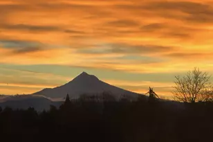 905 N Harbour Dr, Portland, OR 97217 - Photo 34