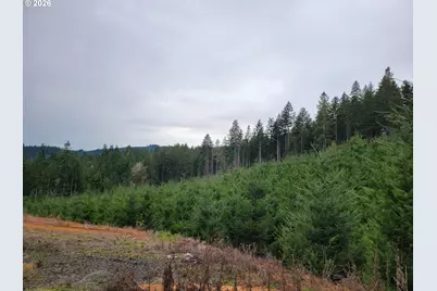 Gowdyville Rd, Cottage Grove, OR 97424 - Photo 6