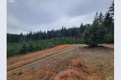 Gowdyville Rd, Cottage Grove, OR 97424 - Photo 12