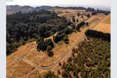 53 Franquette, Amity, OR 97101 - Photo 48