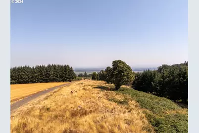 53 Franquette, Amity, OR 97101 - Photo 24