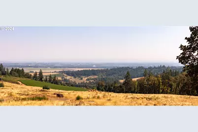 53 Franquette, Amity, OR 97101 - Photo 38