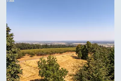 53 Franquette, Amity, OR 97101 - Photo 26