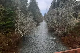 39935 Layng Creek Rd, Dorena, OR 97434 - Photo 4