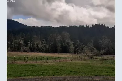 39935 Layng Creek Rd, Dorena, OR 97434 - Photo 8