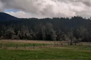 39935 Layng Creek Rd, Dorena, OR 97434 - Photo 8