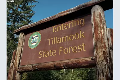 25380 Wilson River Hwy, Tillamook, OR 97141 - Photo 38