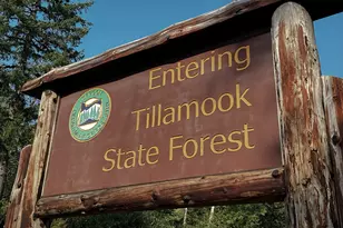 25380 Wilson River Hwy, Tillamook, OR 97141 - Photo 38