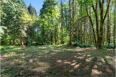 40811 NW Linklater Rd, North Plains, OR 97133 - Photo 42
