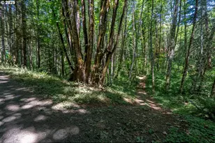 40811 NW Linklater Rd, North Plains, OR 97133 - Photo 40