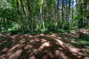 40811 NW Linklater Rd, North Plains, OR 97133 - Photo 44