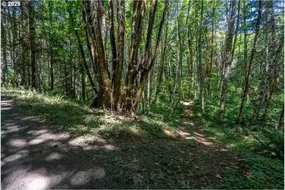 40811 NW Linklater Rd, North Plains, OR 97133 - Photo 42