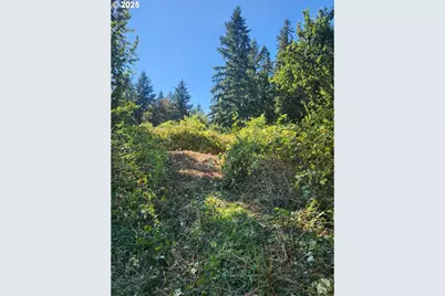 202 NW 179th St, Ridgefield, WA 98642 - Photo 40