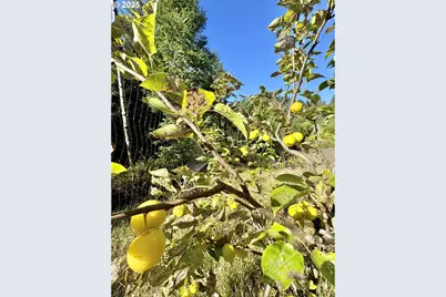 70700 Majestic Shores Rd, North Bend, OR 97459 - Photo 42