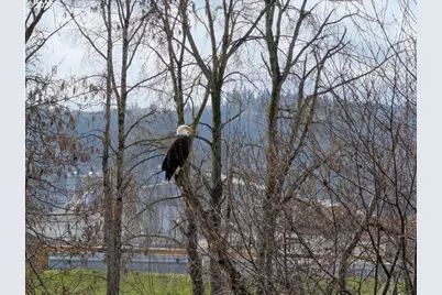 2158 S River Rd, Kelso, WA 98626 - Photo 24