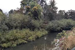 453 NE Yamhill St, Willamina, OR 97396 - Photo 2