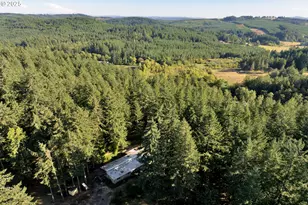 41294 Keel Mountain N Dr, Lebanon, OR 97355 - Photo 40