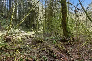 0 NW Green Mountain Rd, Banks, OR 97106 - Photo 20