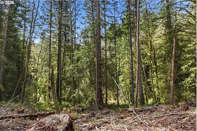 0 NW Green Mountain Rd., Banks, OR 97106 - Photo 20
