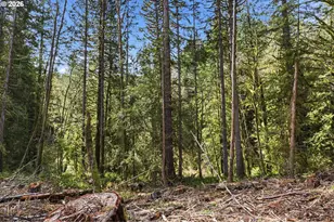 0 NW Green Mountain Rd, Banks, OR 97106 - Photo 20