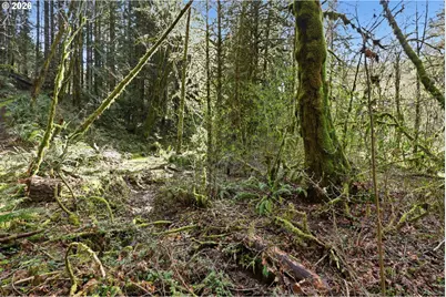 0 NW Green Mountain Rd., Banks, OR 97106 - Photo 22