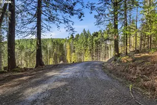 0 NW Green Mountain Rd, Banks, OR 97106 - Photo 30